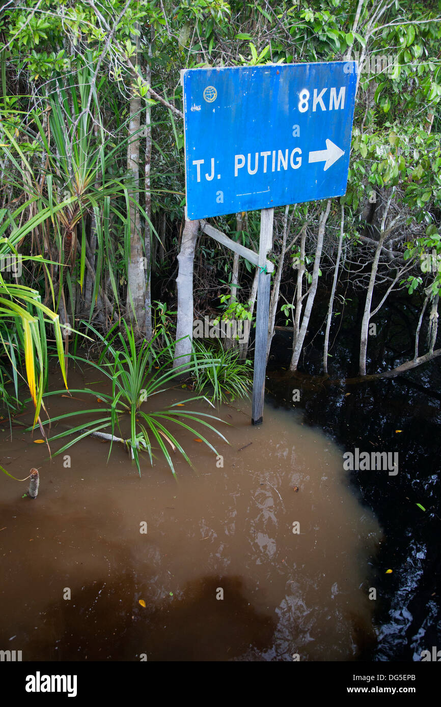 Natural clean black water of Sekonyer Kanan tributary flowing into muddy water of the main Sekonyer River polluted by illegal gold mining in Borneo Stock Photo
