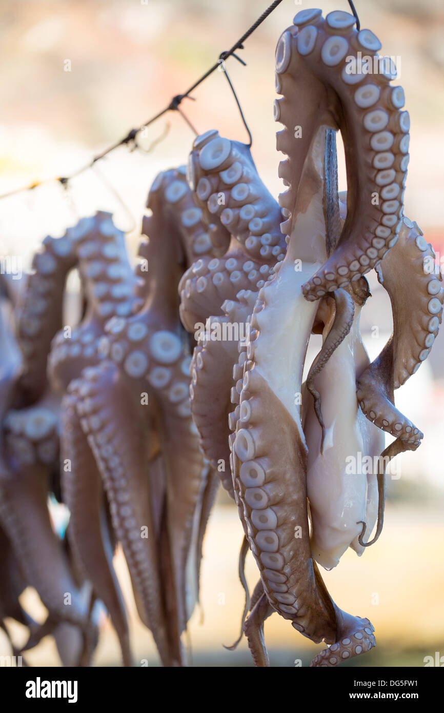 Octopus tentacles drying in the sun outside of seaside Greek restaurant. Santorini Stock Photo