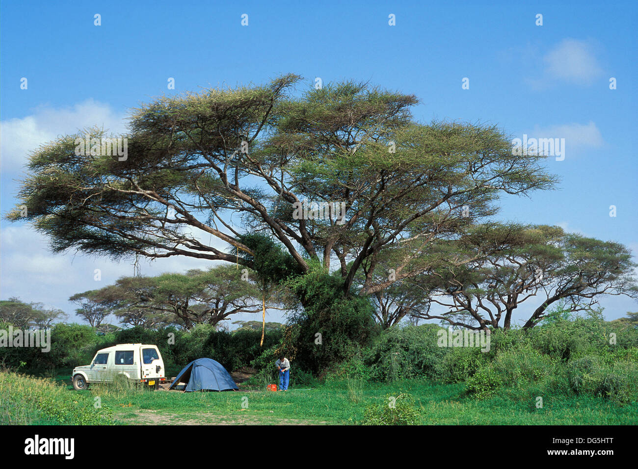 Camping under a acacia tree in the Amboseli National Park, Kenya Stock