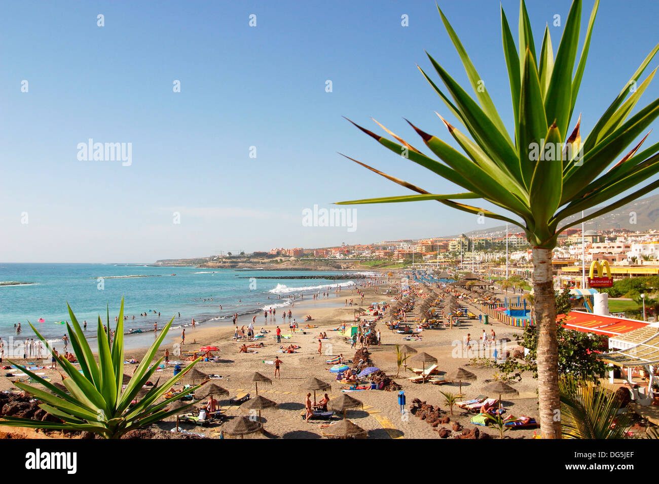 Fañabe Beach Adeje Tenerife Canary Islands Spain Stock