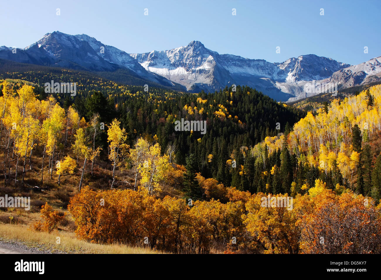 Dallas Divide, Uncompahgre National Forest, Colorado, USA Stock Photo