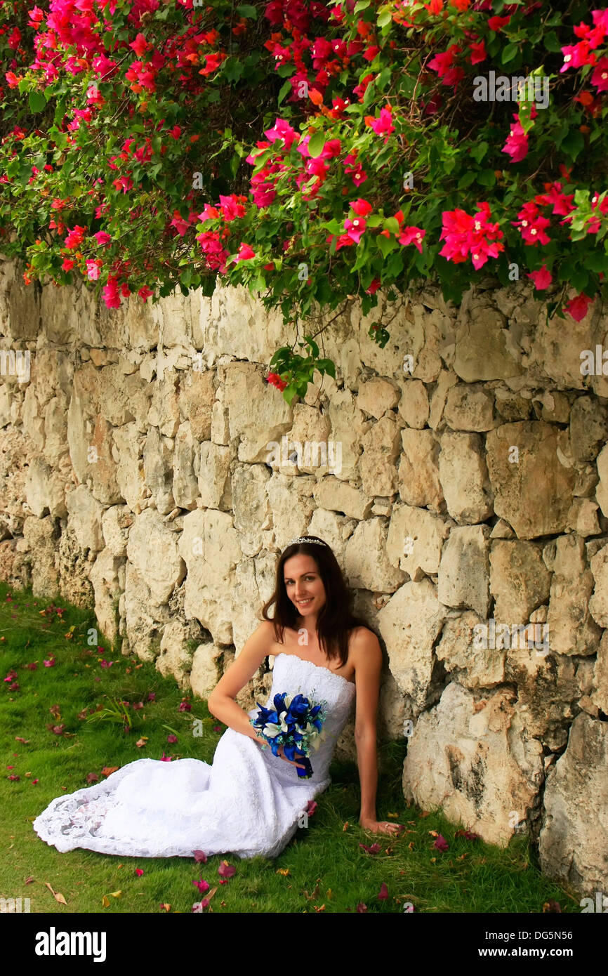 Stone wall flowers hi-res stock photography and images - Alamy