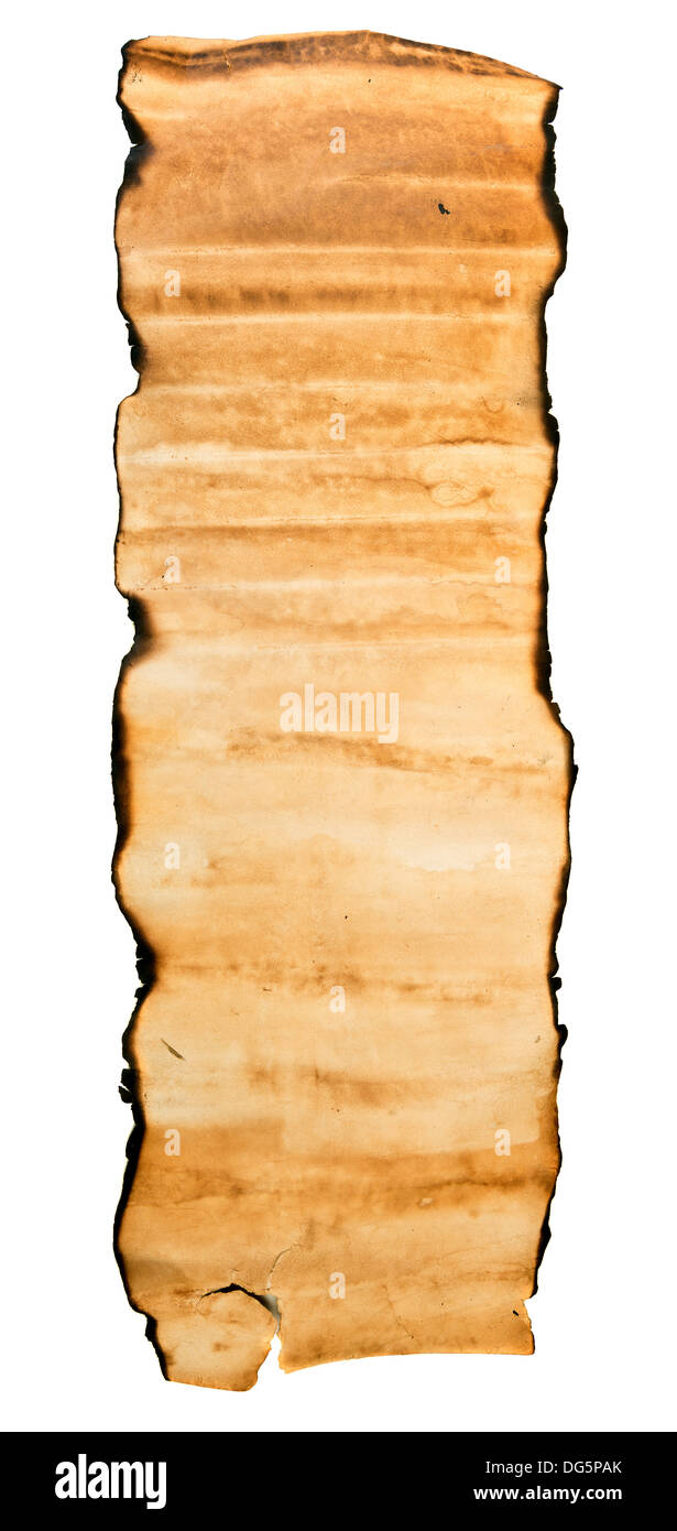 Vintage roll of parchment background Stock Photo
