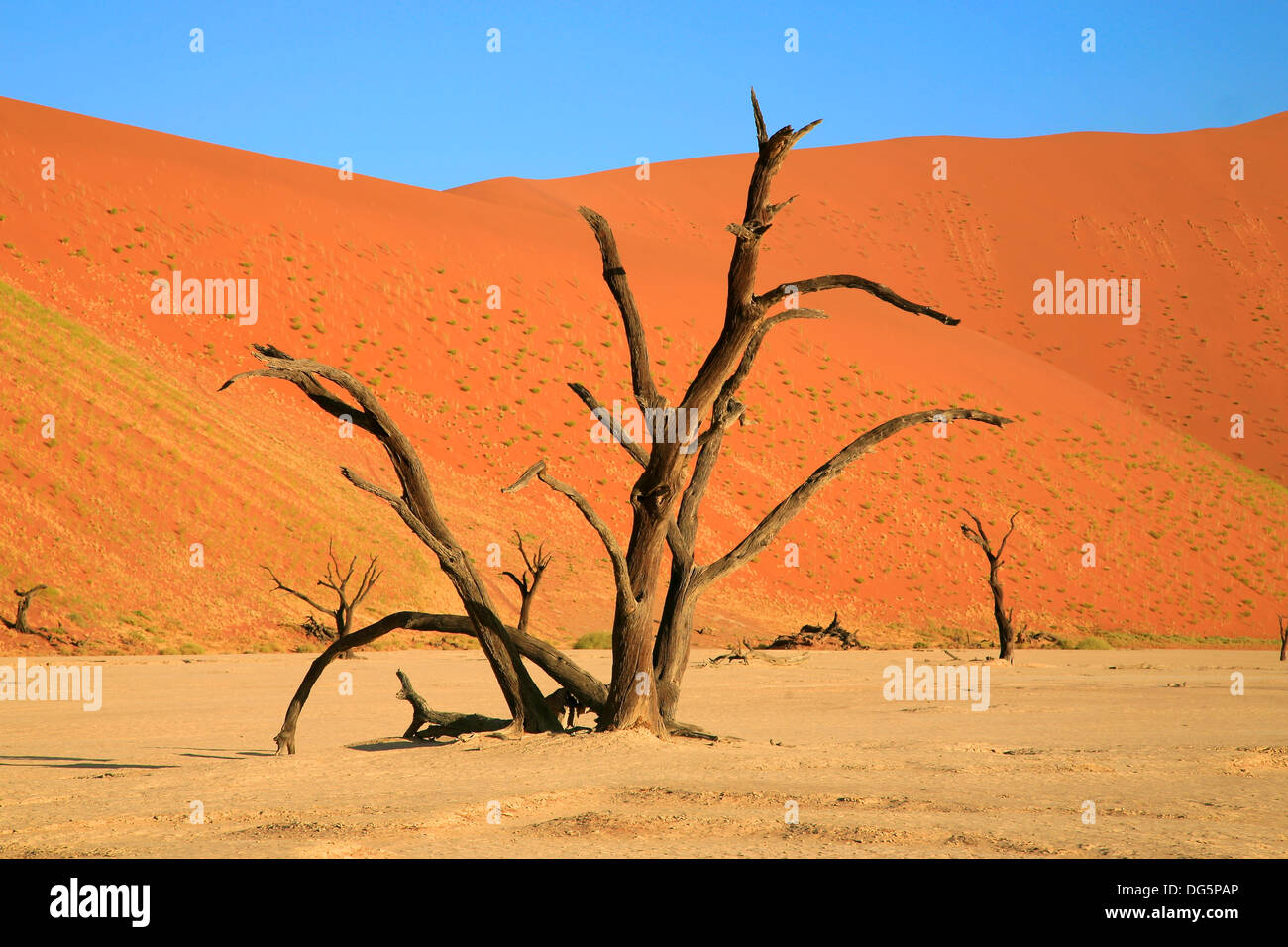 Set deep within the dune sea of the Namib desert, Sossusvlei - namibia ...