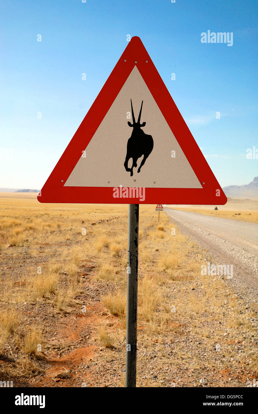 West of springbok hi-res stock photography and images - Alamy