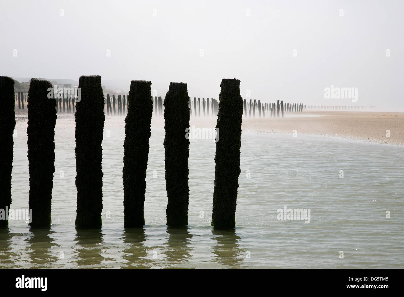 Wissant Coast line in the north of France Stock Photo Alamy