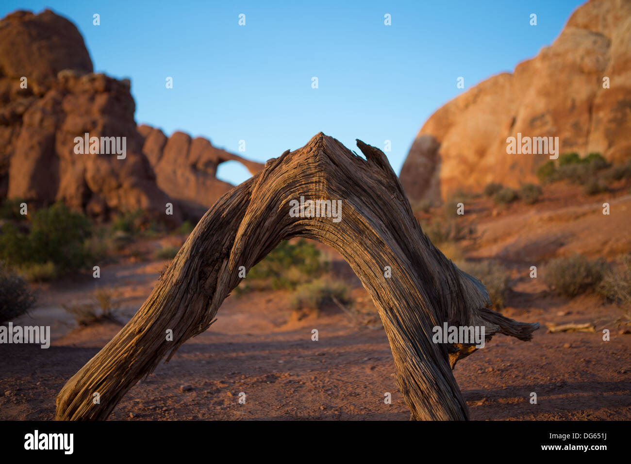 Window arch hi-res stock photography and images - Alamy