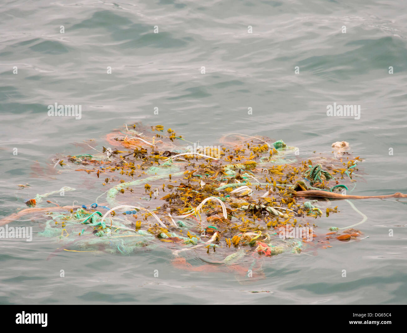 Plastic rubbish floating of a remote beach in Northern Svalbard, only about 600 miles from the North Pole. Stock Photo