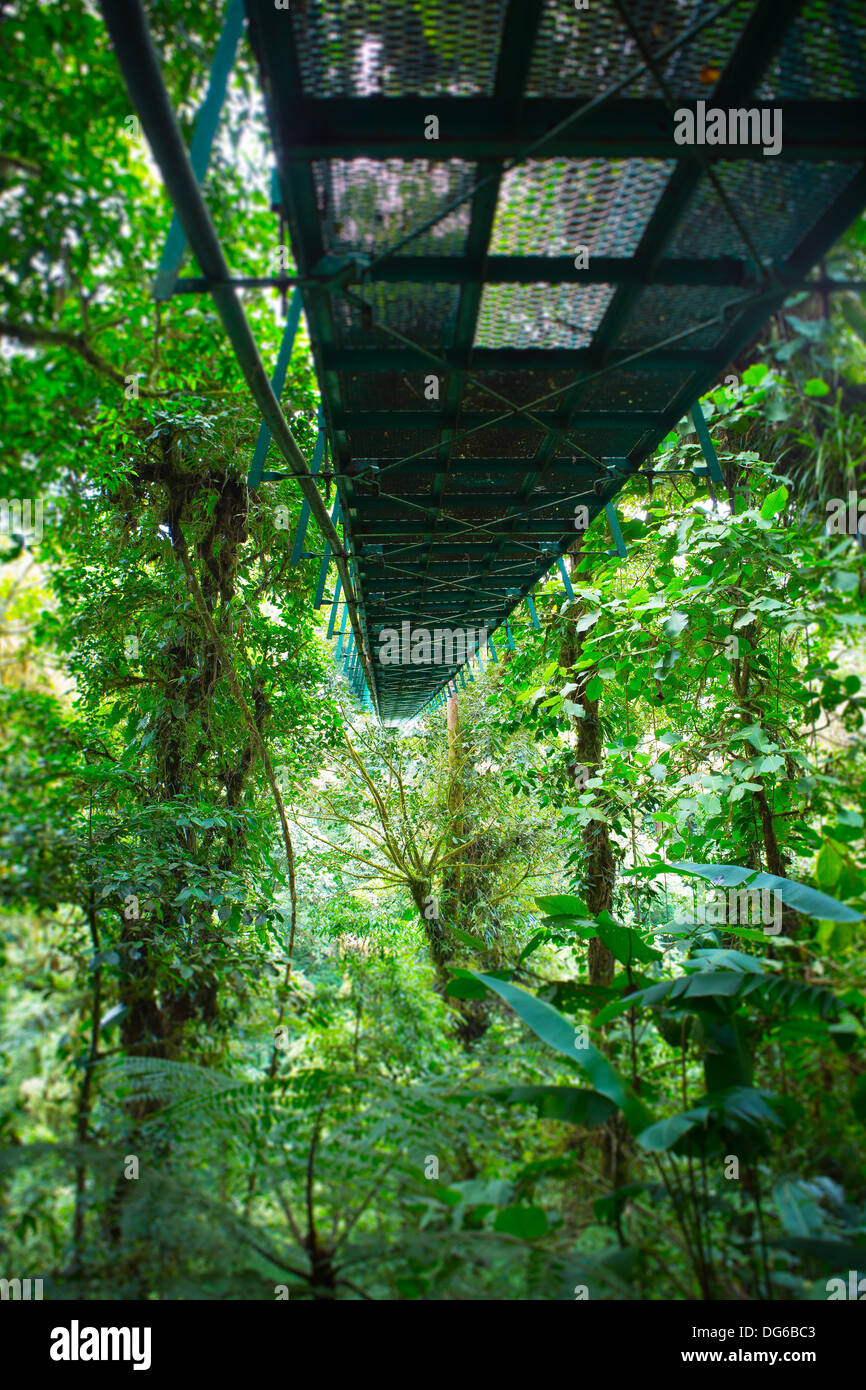 A hanging bridge in the monteverde cloudforest, Costa Rica Stock Photo
