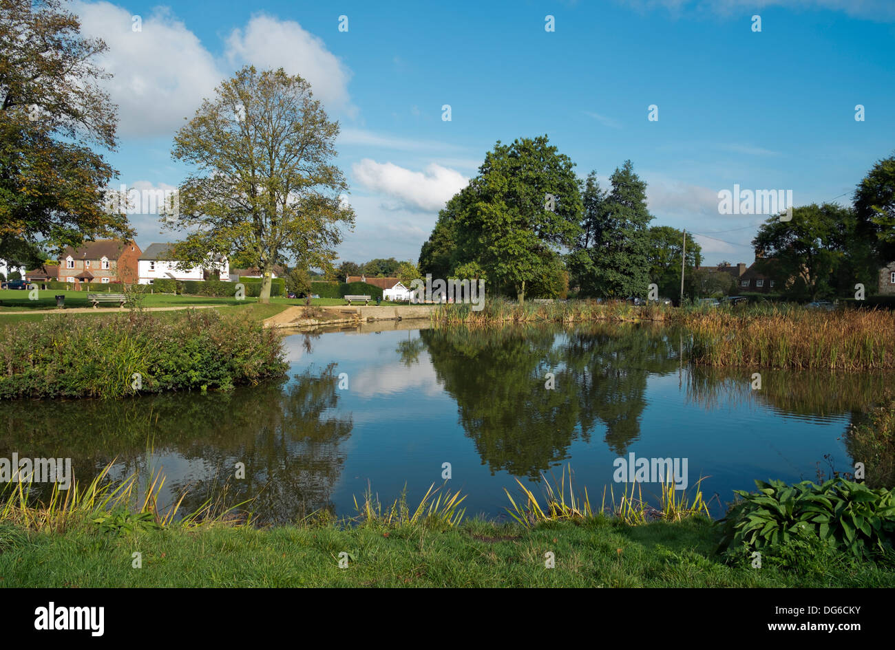A typical English village pond on a village green in Penn, Bucks Stock  Photo - Alamy