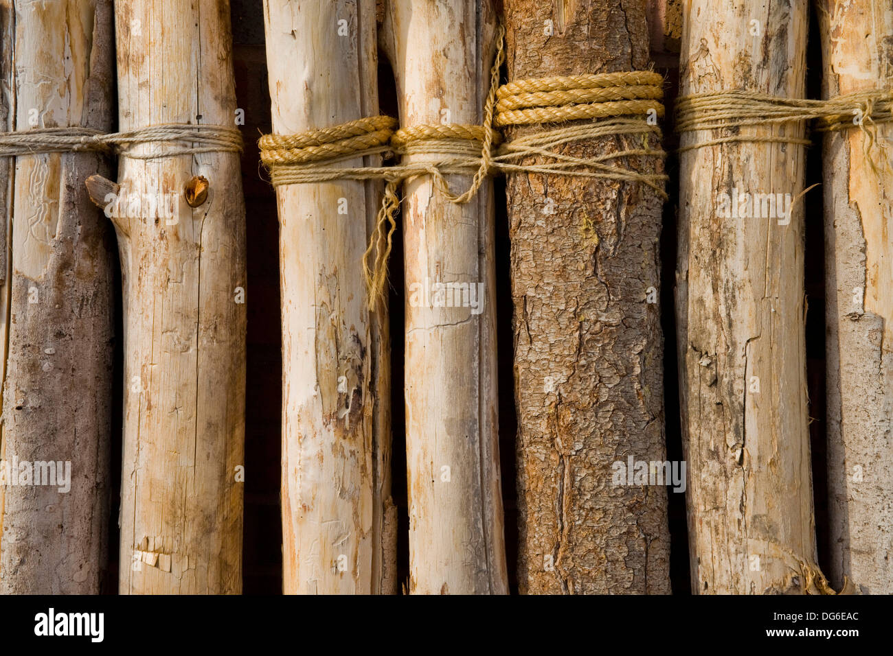 Tied restrained hi-res stock photography and images - Alamy