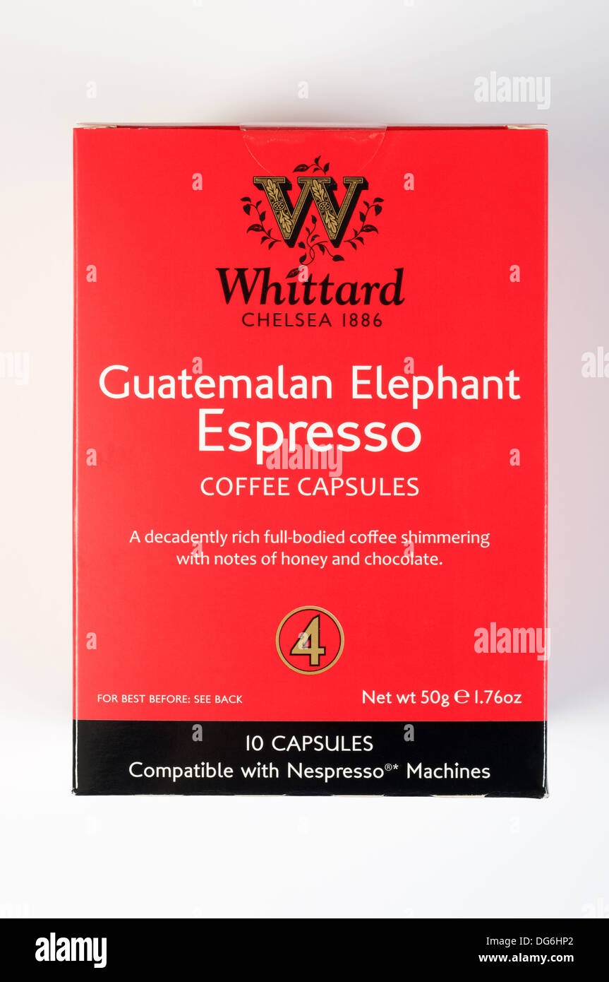 Whittard Guatemalan Elephant Espresso coffee capsules Stock Photo