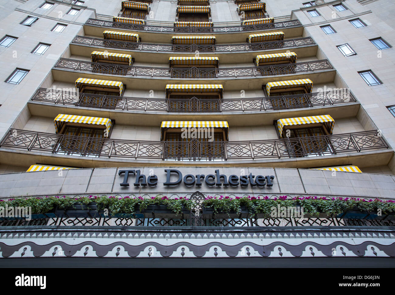 The Dorchester Nyc