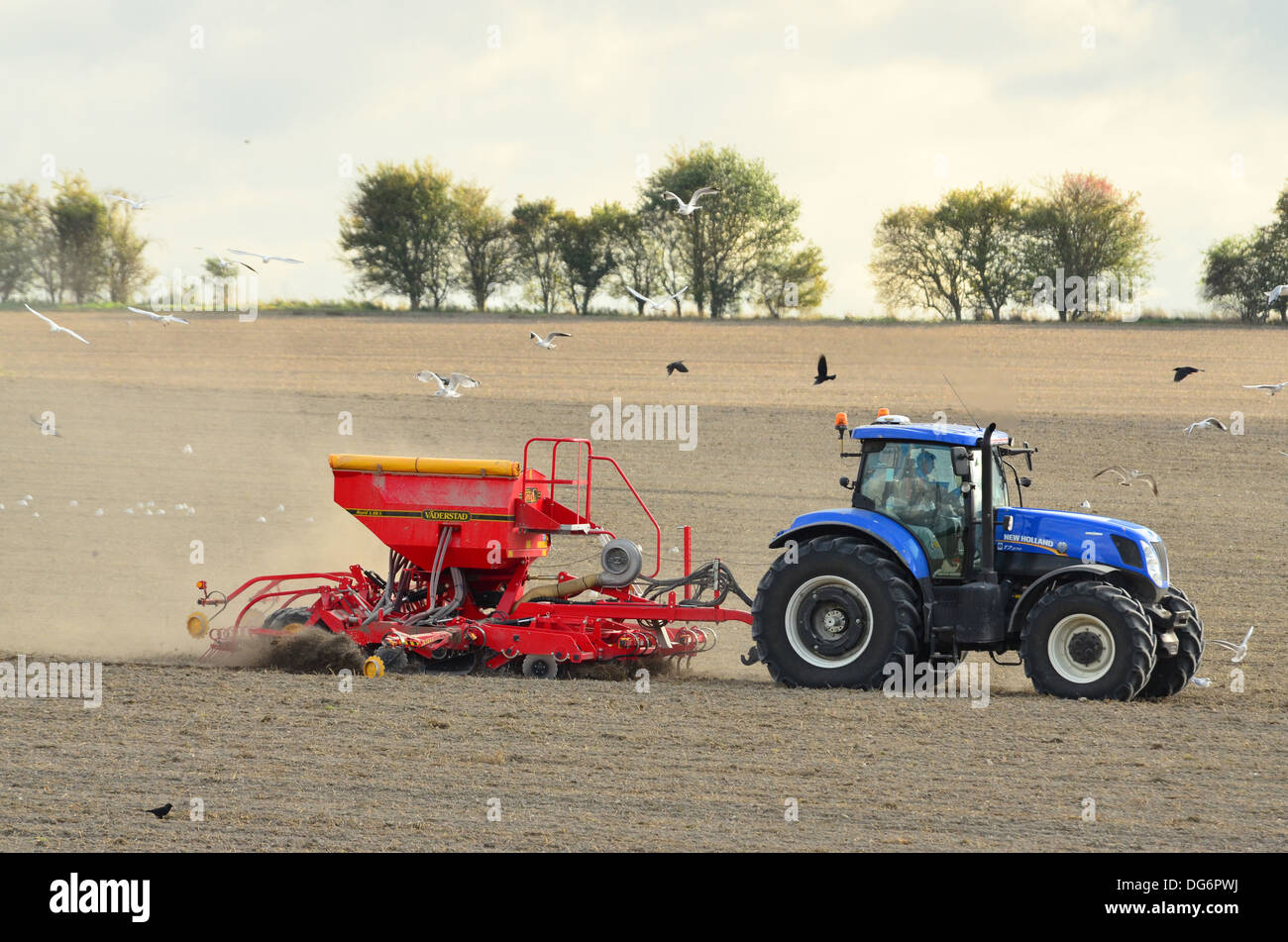 Tractor pulling seed planter through a field followed by birds Stock Photo