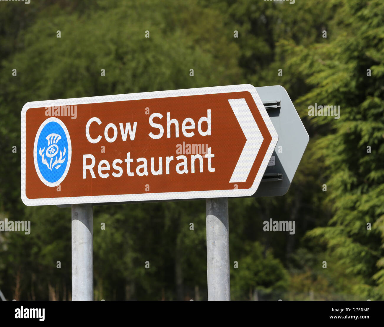 Sign for the Cow Shed restaurant near Banchory, Aberdeenshire, Scotland, UK Stock Photo