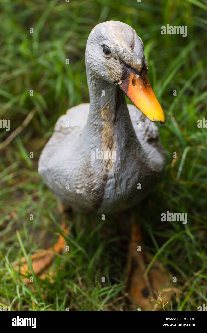 duck statues in Lawn Stock Photo Alamy