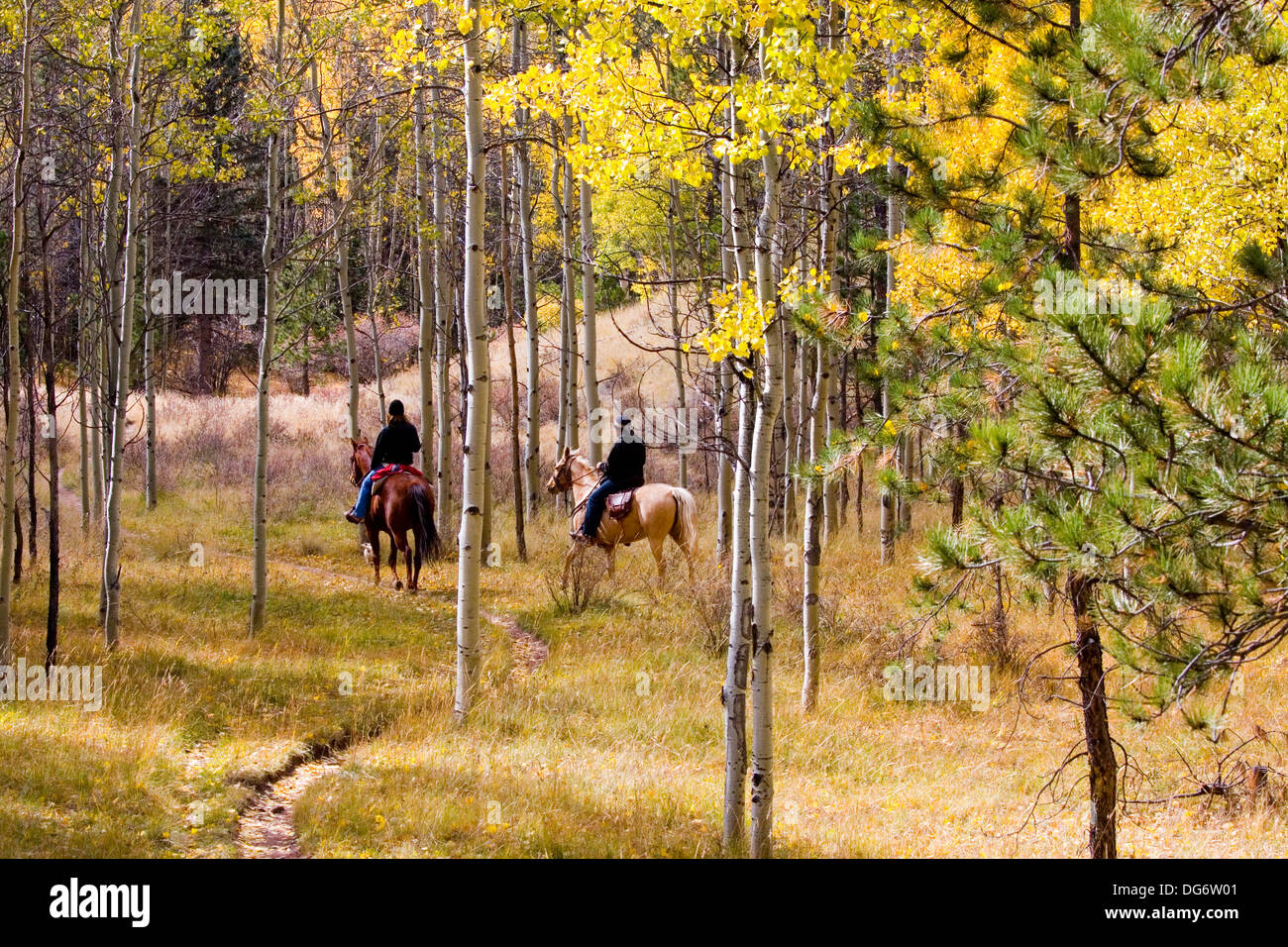 Autumn Horseback Riders Stock Photo - Alamy
