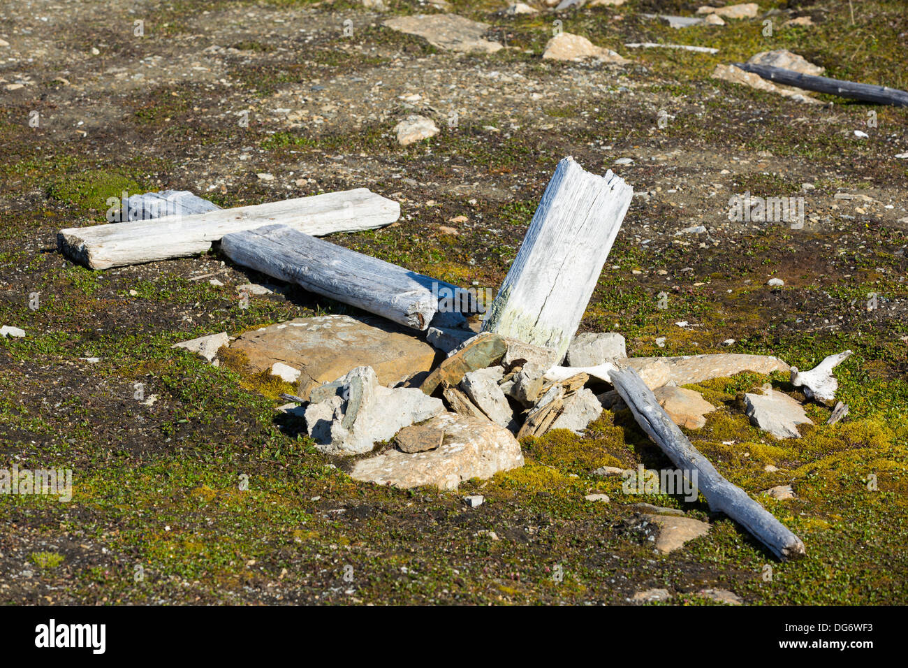 An old grave with a human femur exposed and bought to the surface by permafrost melt and frost heave Stock Photo