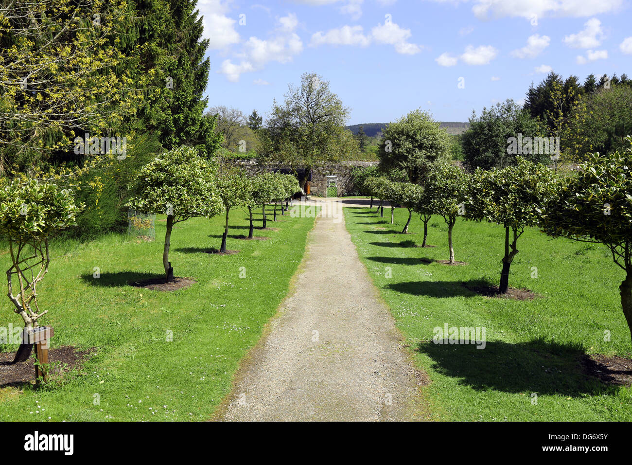 The gardens at Drum Castle in Royal Deeside near Banchory, Aberdeenshire, Scotland, UK Stock Photo