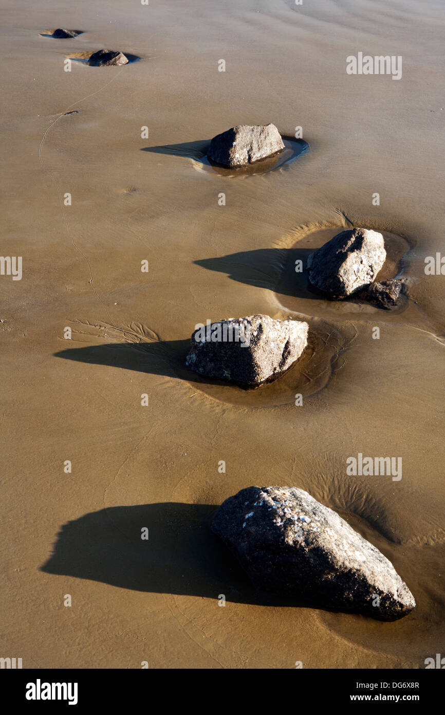 Rock Patterns on Driftwood Beach - Jekyll Island, Georgia USA Stock Photo