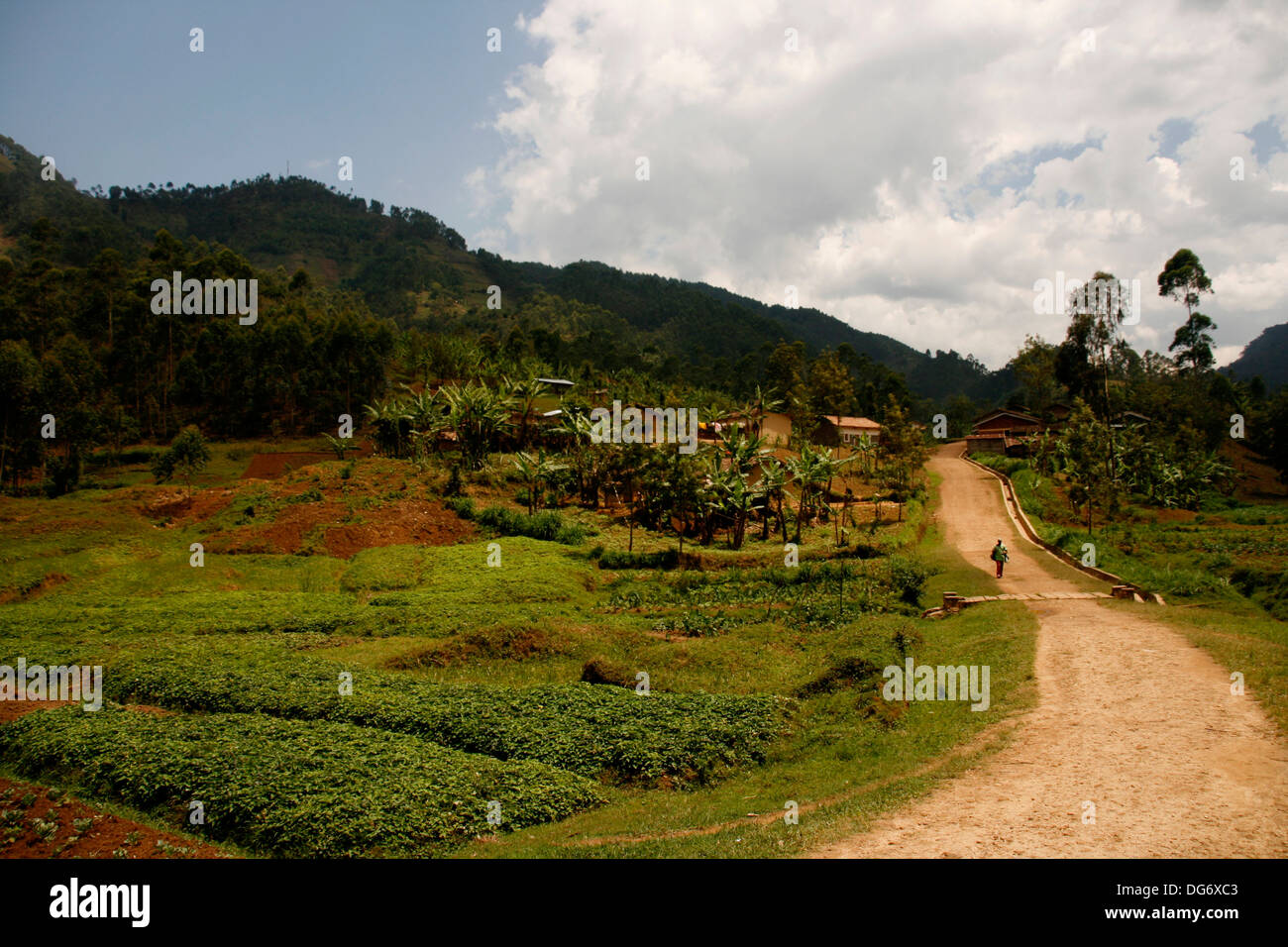 Rusizi district hi-res stock photography and images - Alamy