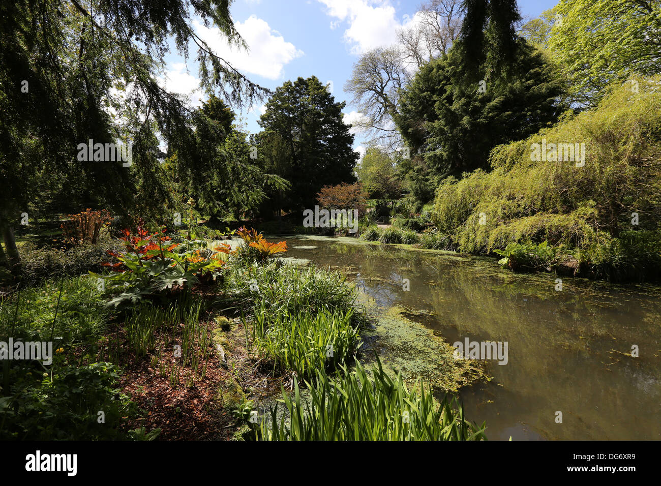 Pond in the gardens at Drum Castle in Royal Deeside near Banchory