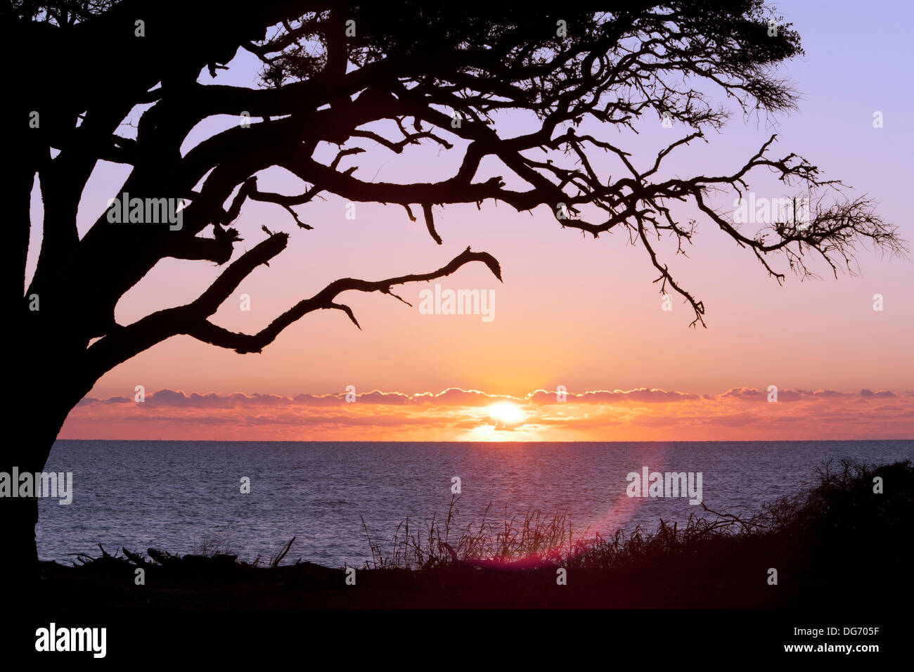 Sunrise from Driftwood Beach - Jekyll Island, Georgia USA Stock Photo