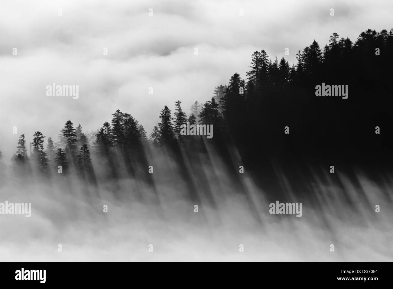 Inversion in Pieniny mountains, southern Poland. Stock Photo