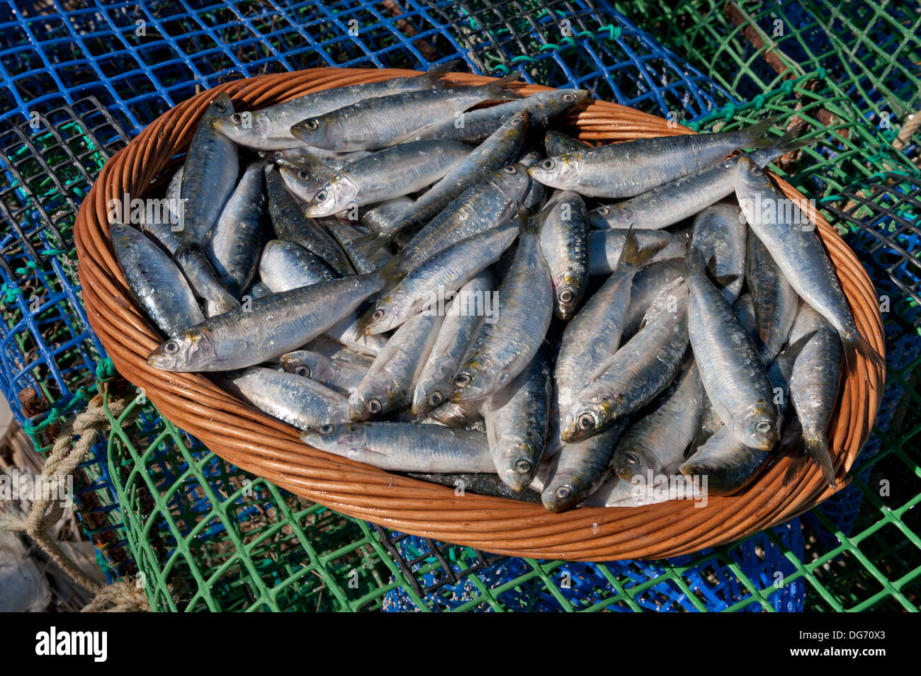 Fishing with a basket hi-res stock photography and images - Alamy