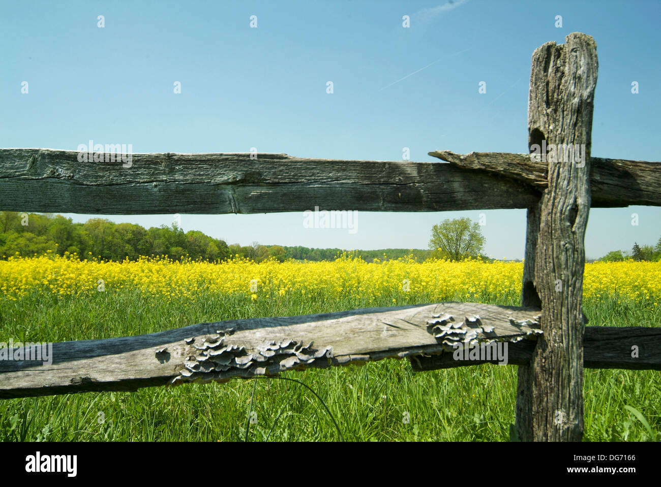 Delaware new castle county hires stock photography and images Alamy