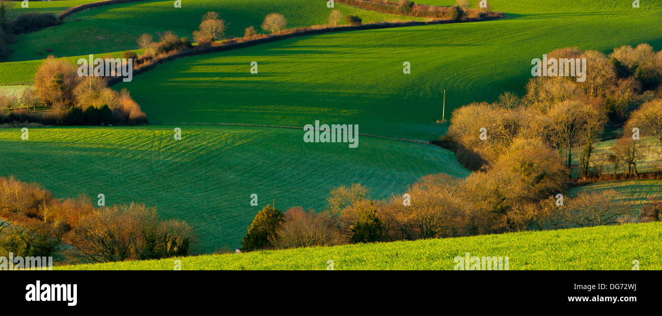Whiddon park hires stock photography and images Alamy