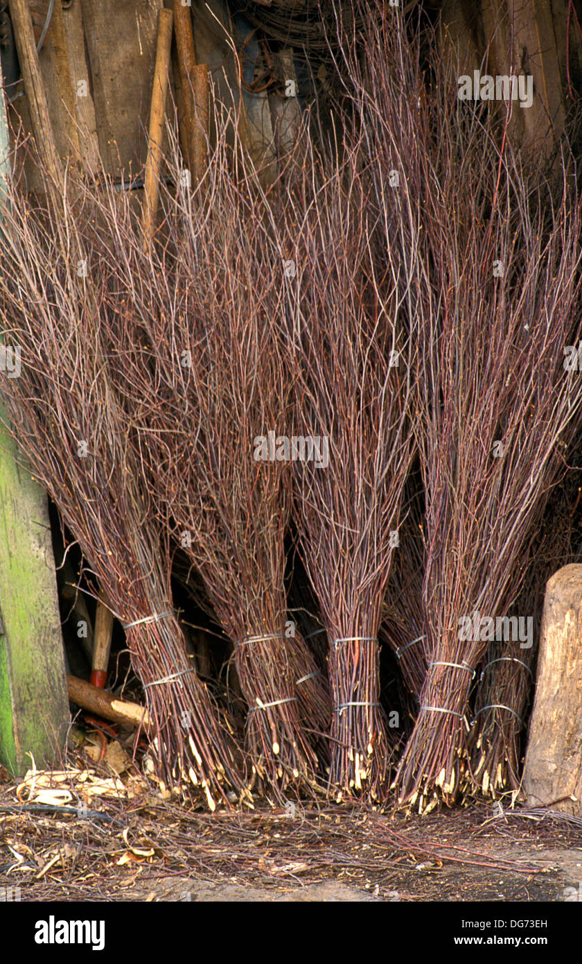 besom brooms, England Stock Photo