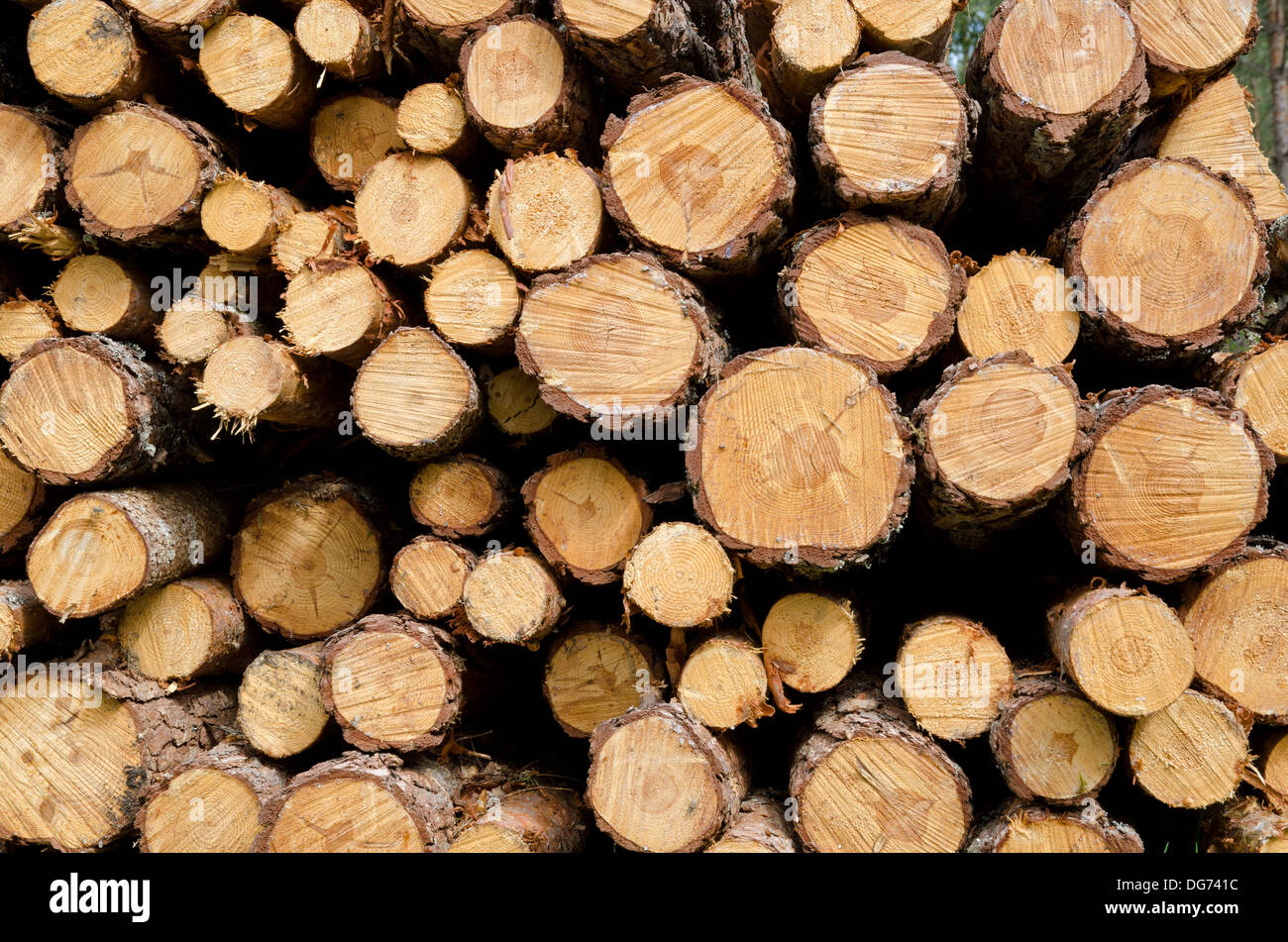 Biomass Stock Photo