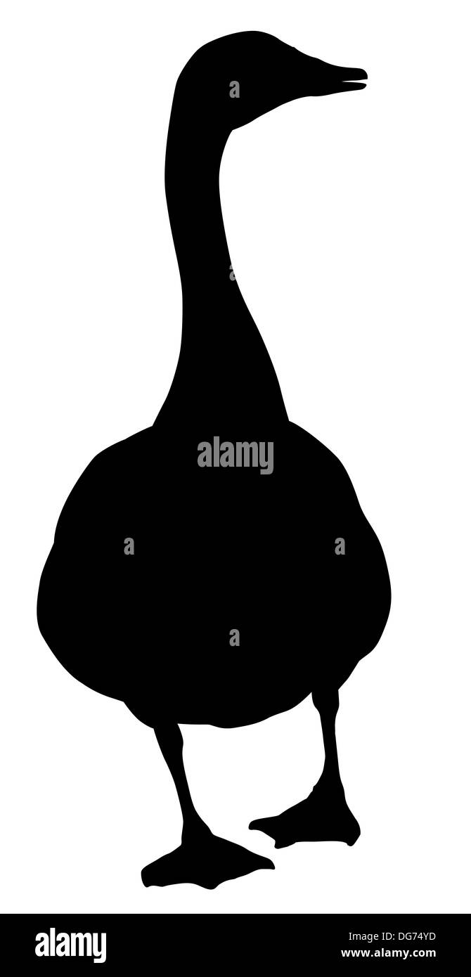 Goose silhouette Stock Photo