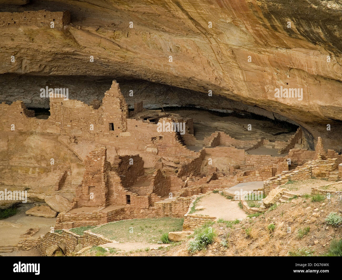 The Long House cliff dwelling of the Anasazi,Mesa Verde National Park,Colorado Stock Photo