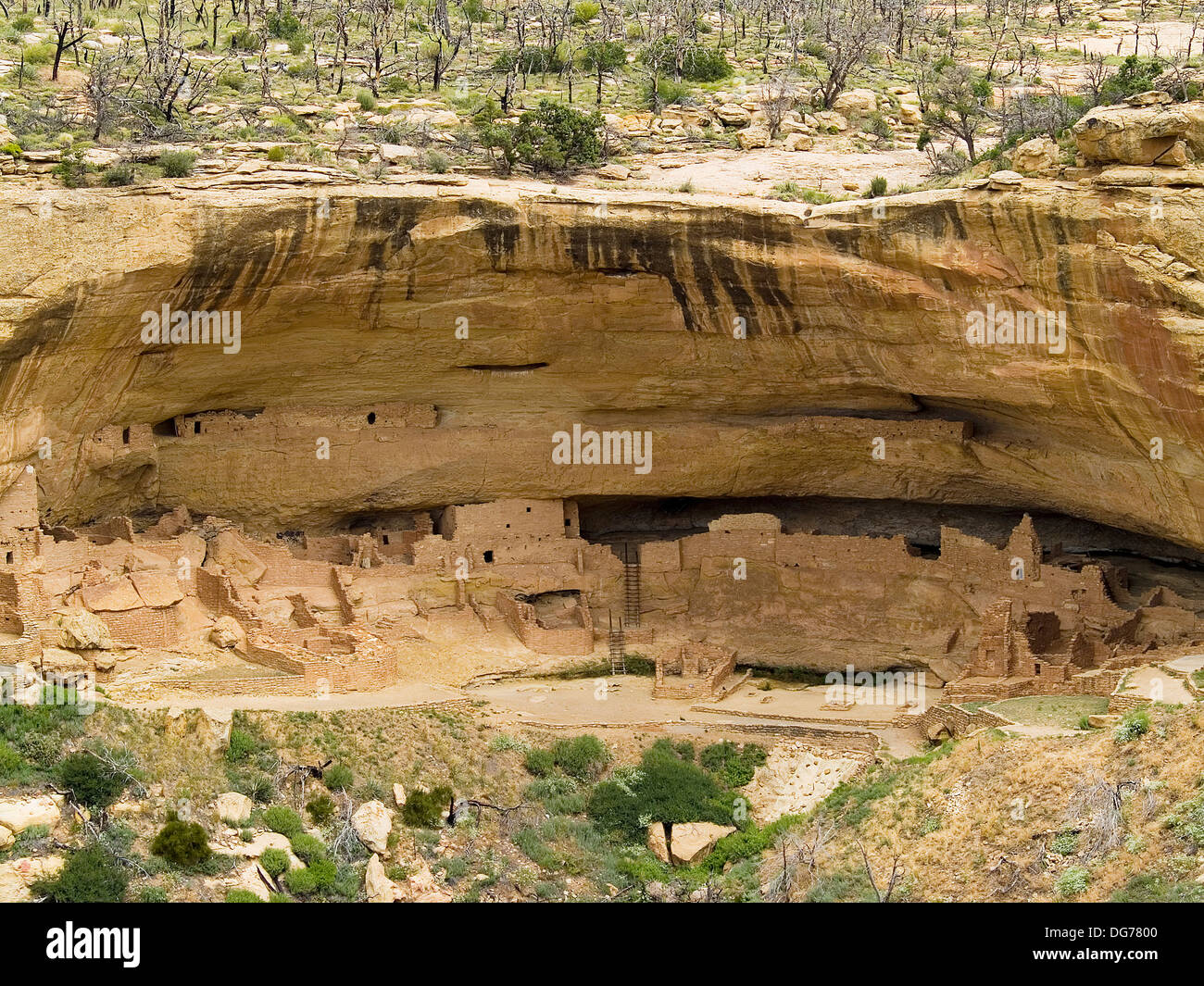 The cliff dwelling,Long House at Mesa Verde National Park,Colorado Stock Photo