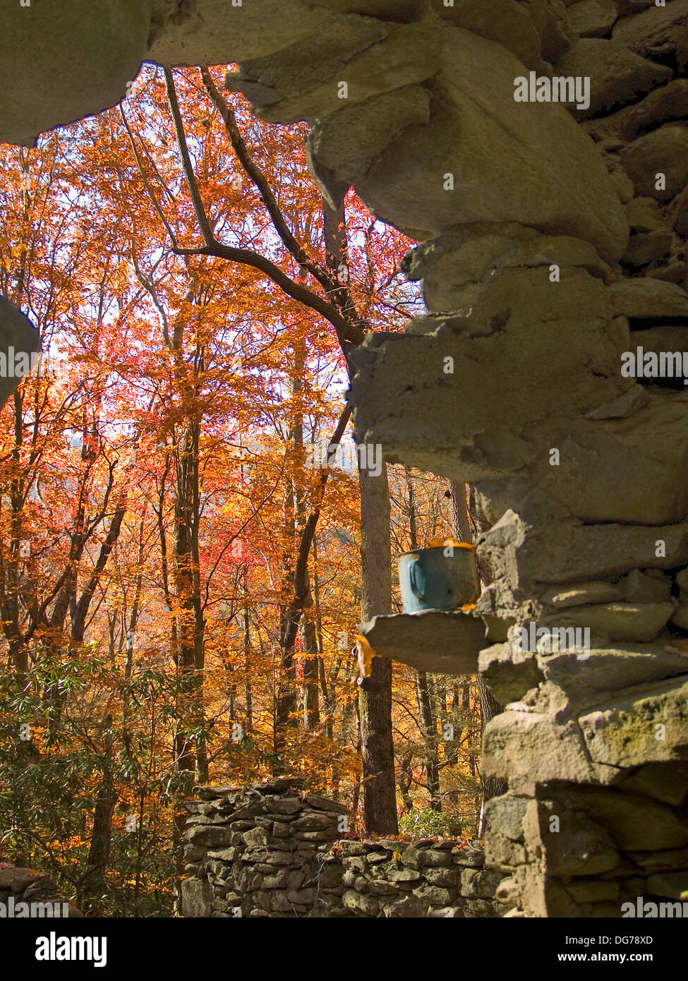 A coffee cup in abandoned ruins,Great Smoky Mountain National Park,Tennessee Stock Photo