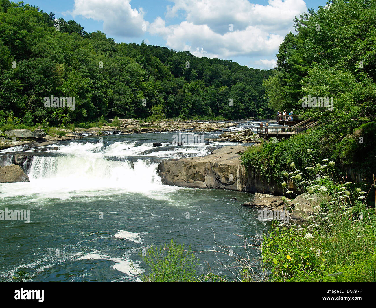 Ohiopyle Falls,Youghiogheny River,Pennsylvania Stock Photo Alamy