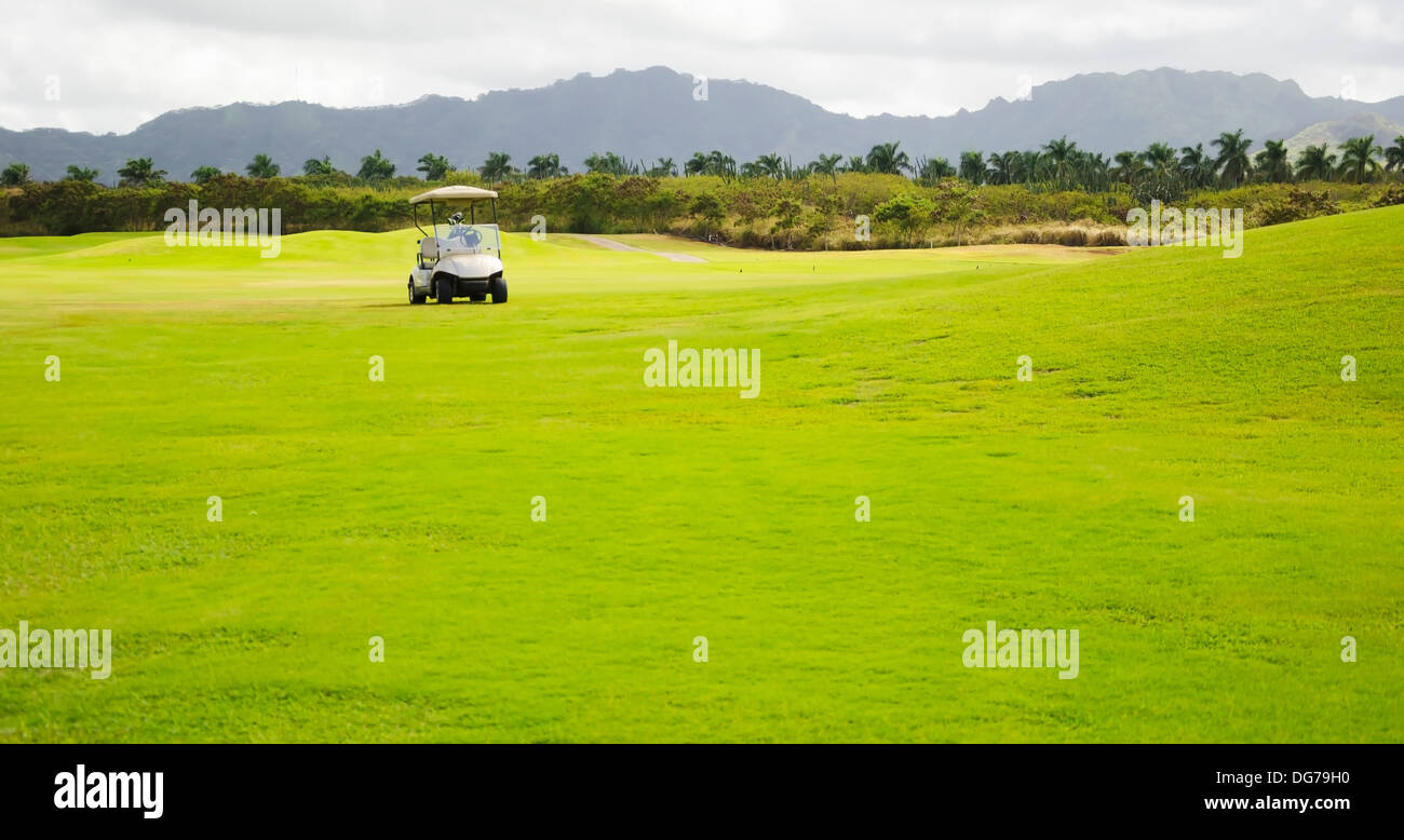 Golf cart in the Golf Club in Hawaii, Kauai, USA Stock Photo Alamy