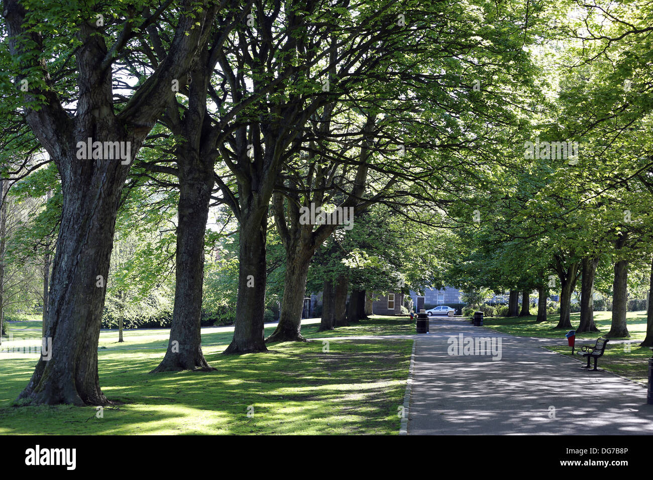 Victoria public park in Aberdeen, Scotland, UK Stock Photo - Alamy