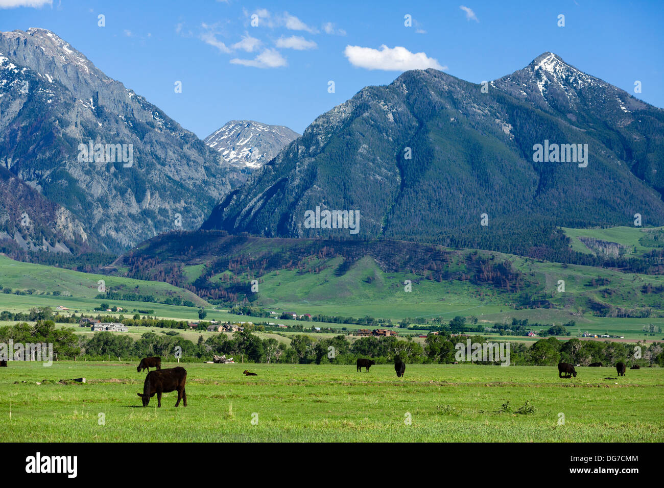 Cattle ranch south of Livingstone, Montana, USA Stock Photo