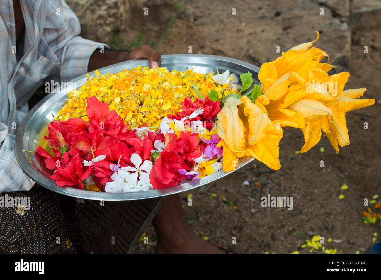 Indian man holding flower offerings on a metal plate at an hindu temple. India Stock Photo