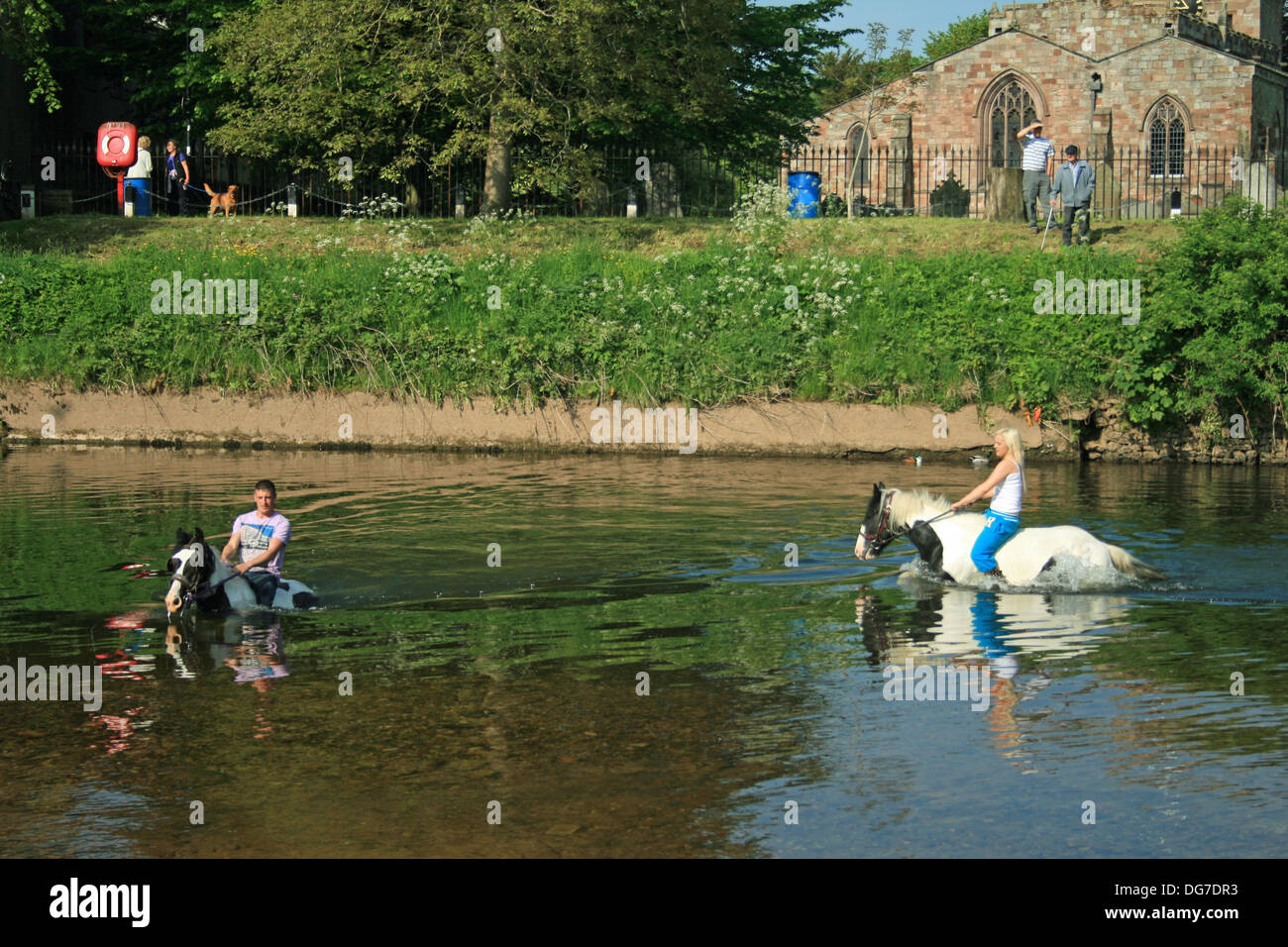 Appleby Horse Fair 2013 horses and riders in the river Eden at Applebyin Westmorland Cumbria