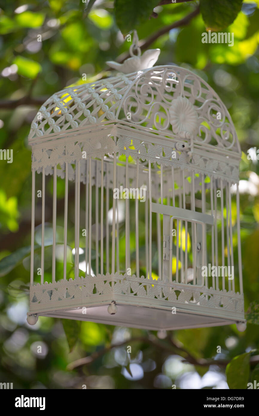 Empty bird-cage hanging from a tree, in the streets of Crete, Greece , 2013. Stock Photo