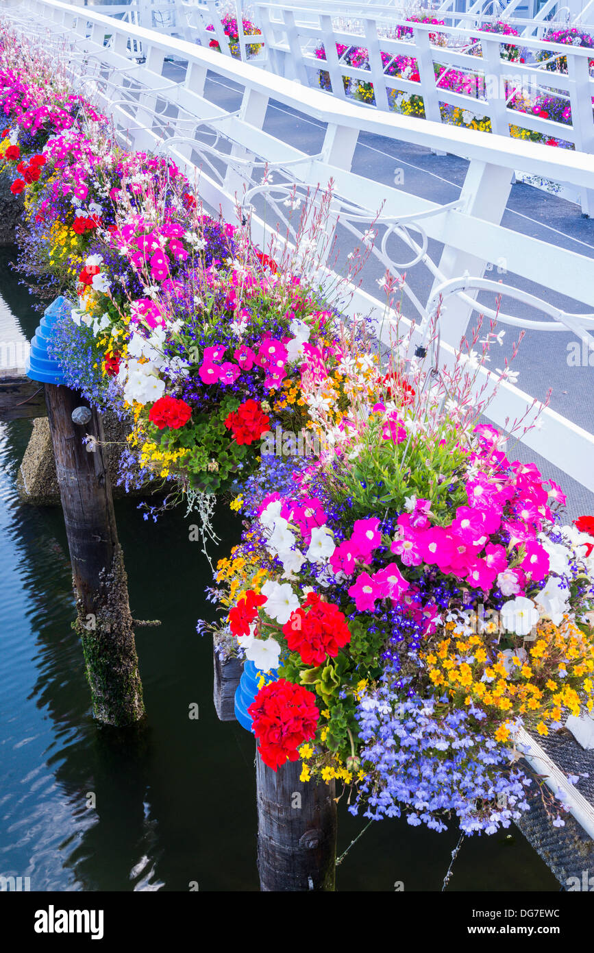 Flower baskets, The Inner Harbour, Victoria, Vancouver Island Stock Photo 61630952 Alamy