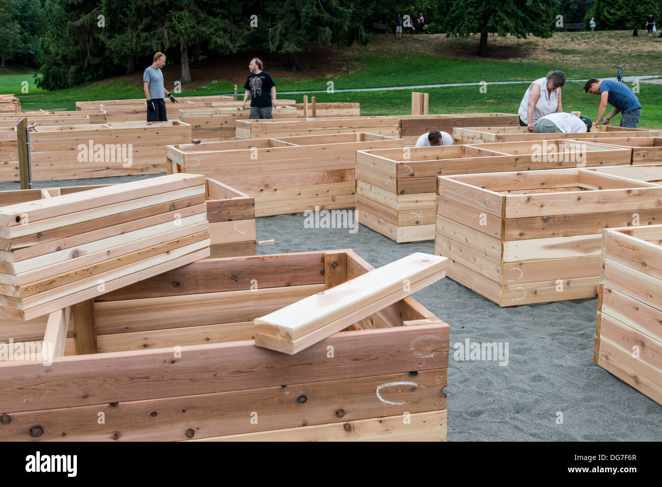 Newly constructed, Community Garden raised beds, Charleson park, Vancouver, British Columbia, Canada Stock Photo