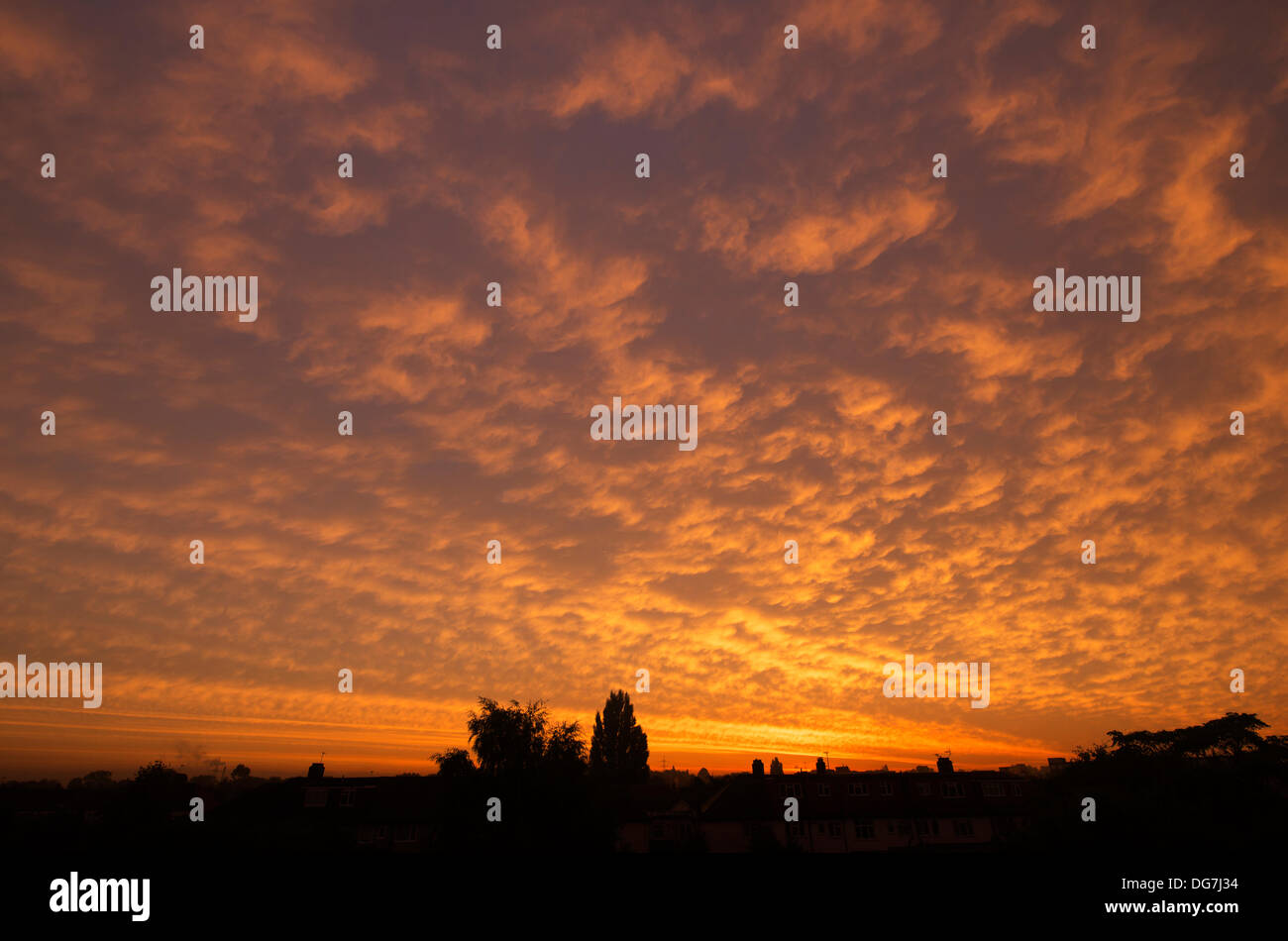 London, UK 16th Oct, 2013. A dramatic sunrise breaks over London this morning. Much of the country was expected to experience windy and wet weather by the end of the day. Credit:  Malcolm Park editorial/Alamy Live News Stock Photo