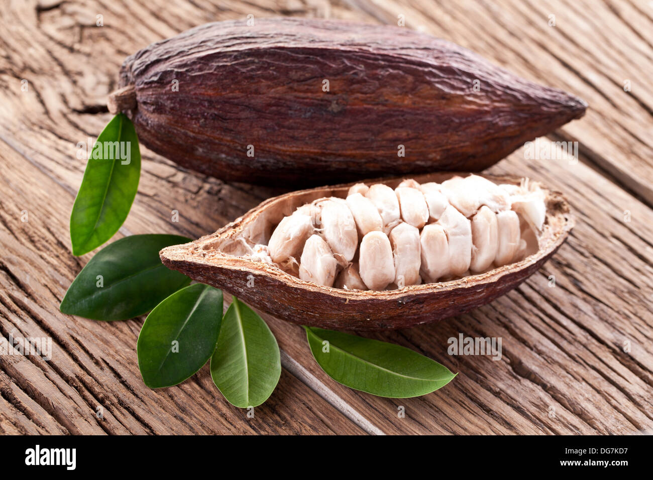Cocoa pod on a dark wooden table. Stock Photo