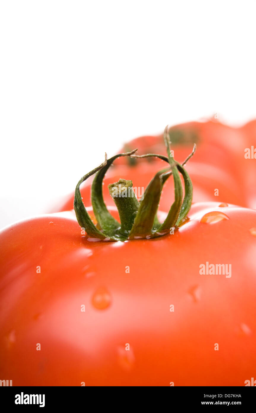 Harvesting tomato seed hires stock photography and images Alamy