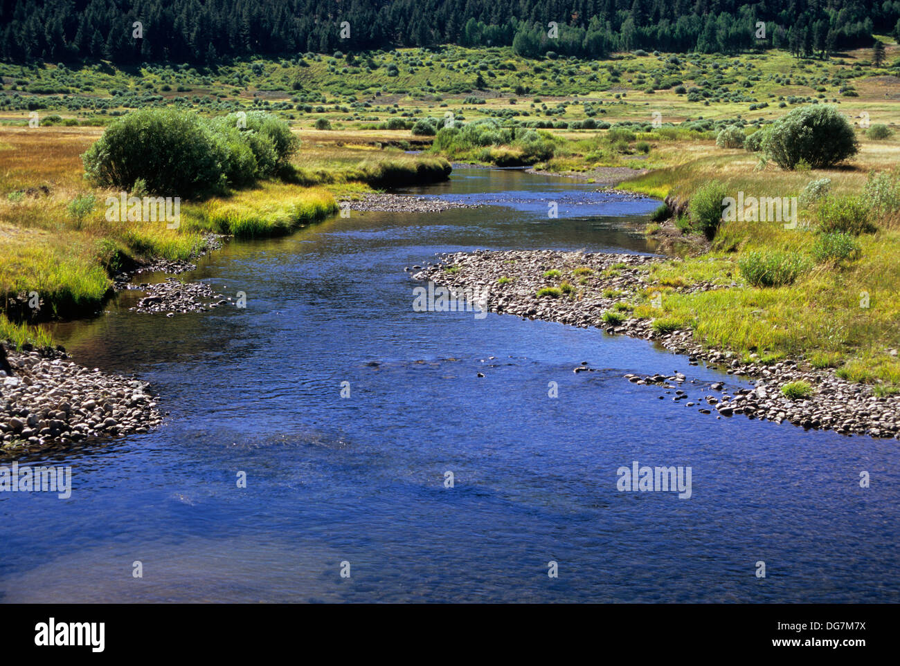 CA757J West Fork Carson River, Carson Pass National Scenic Byway Stock ...